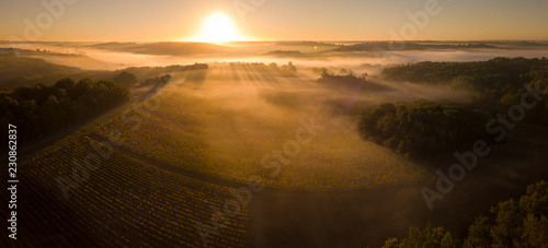 Fotografía Aerial view, Bordeaux vineyard, landscape vineyard and fog at sunrise
