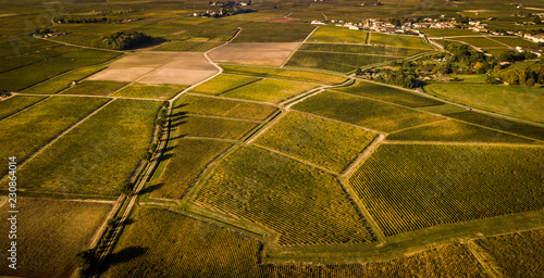 Route des Chateaux, Vineyard in Medoc, amous wine estate of Bordeaux wine