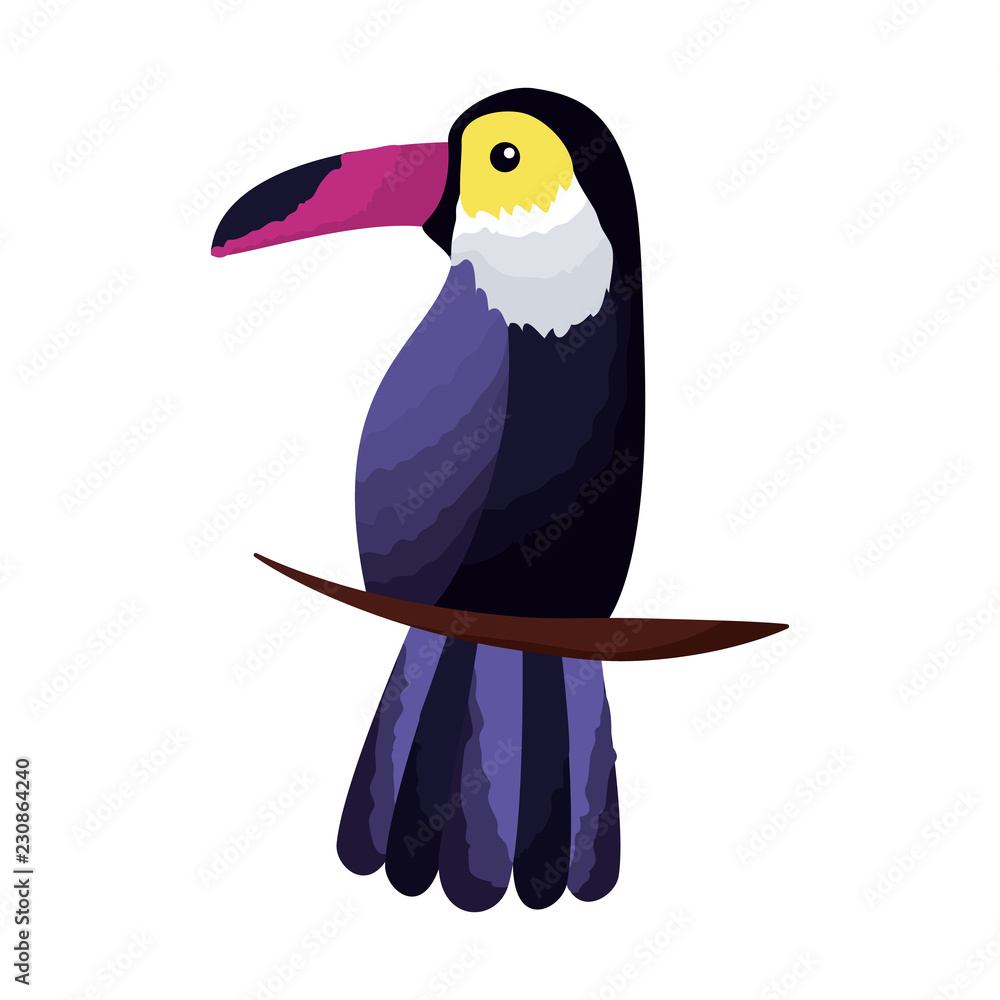 Fototapeta premium exotic toucan bird leaves tropical