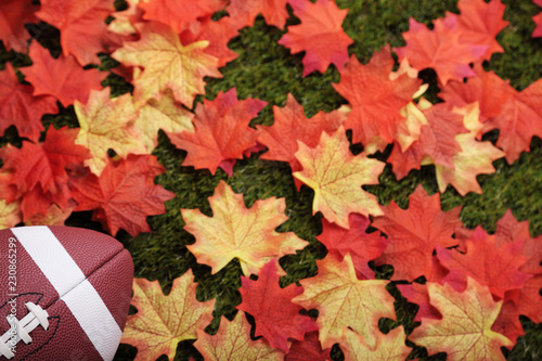 American football next to some autumn fallen maple leaves (focus on the ball)