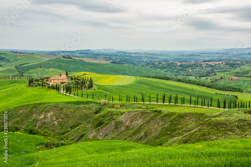 Obraz na płótnie green fields near Volterra in Tuscany w salonie