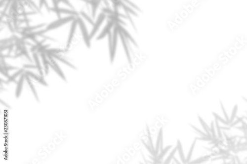 Fototapeta Naklejka Na Ścianę i Meble -  Bamboo leaf shadow on white wall Background. Blank copy space.