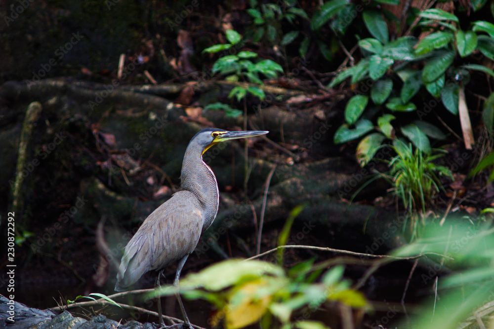 Naklejka premium 37449