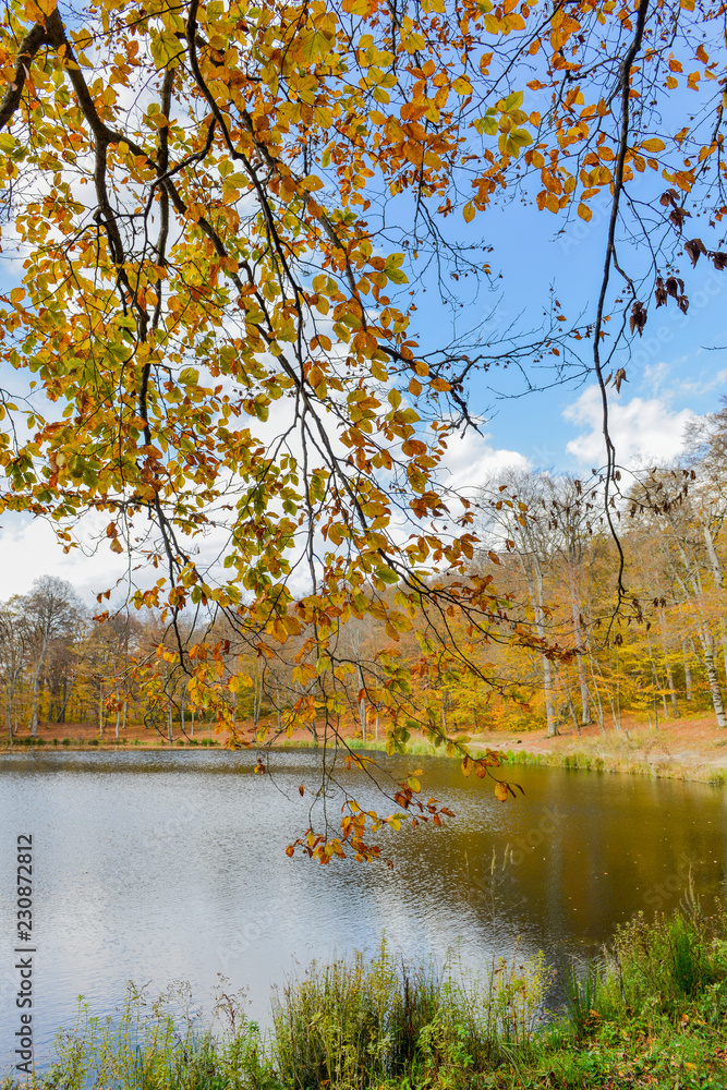 Obraz premium Colorful autumn landscape with lake. Armenia