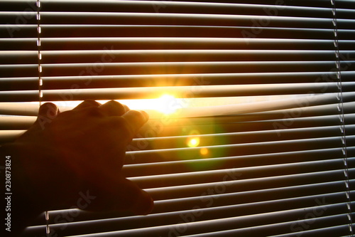 sunlight