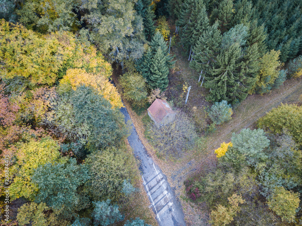 Verlassene Straße im Wald