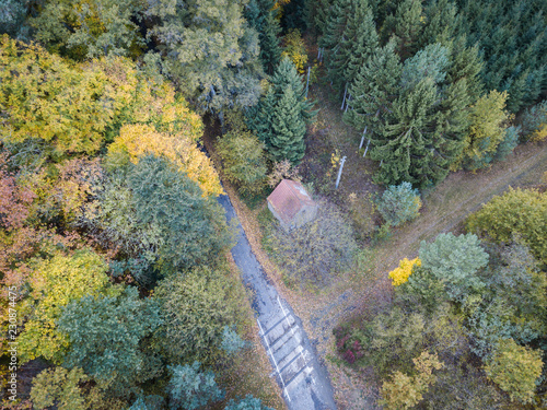 Obraz na płótnie Verlassene Straße im Wald w salonie