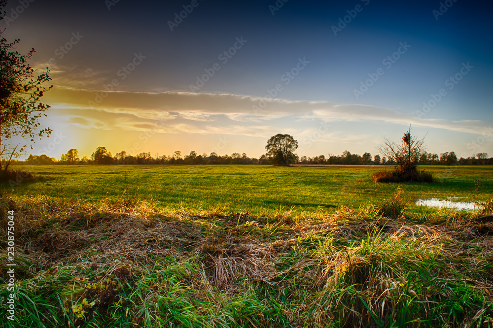 Obraz premium Zachód słońca rozświetlający łąkę,