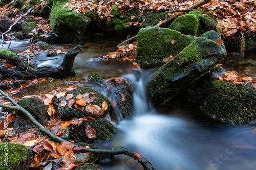 Magical forest waters with wide angle long exposure capture  also available in autumn