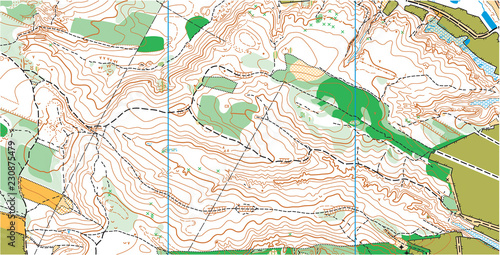 Abstract color vector topographic highly detailed map