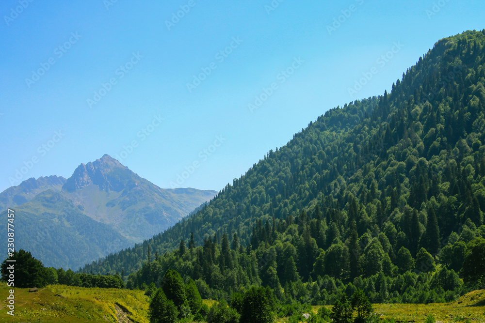 Picturesque natural sunny landscape of green alpine meadows