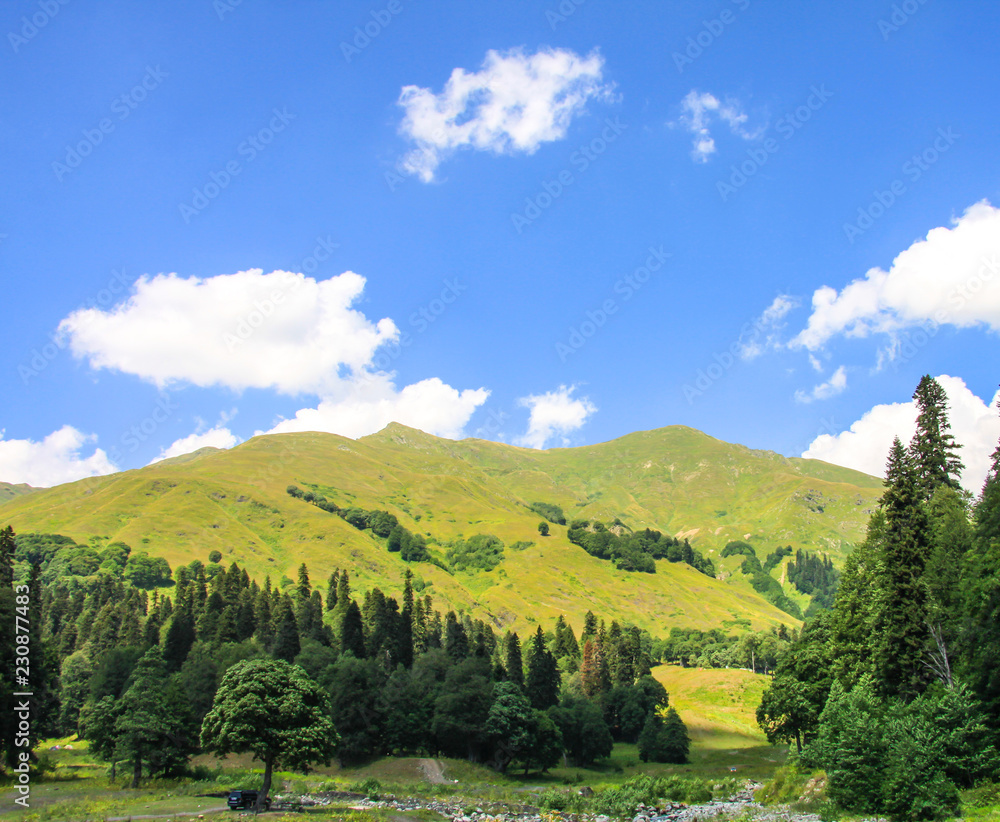 Picturesque natural sunny landscape of green alpine meadows