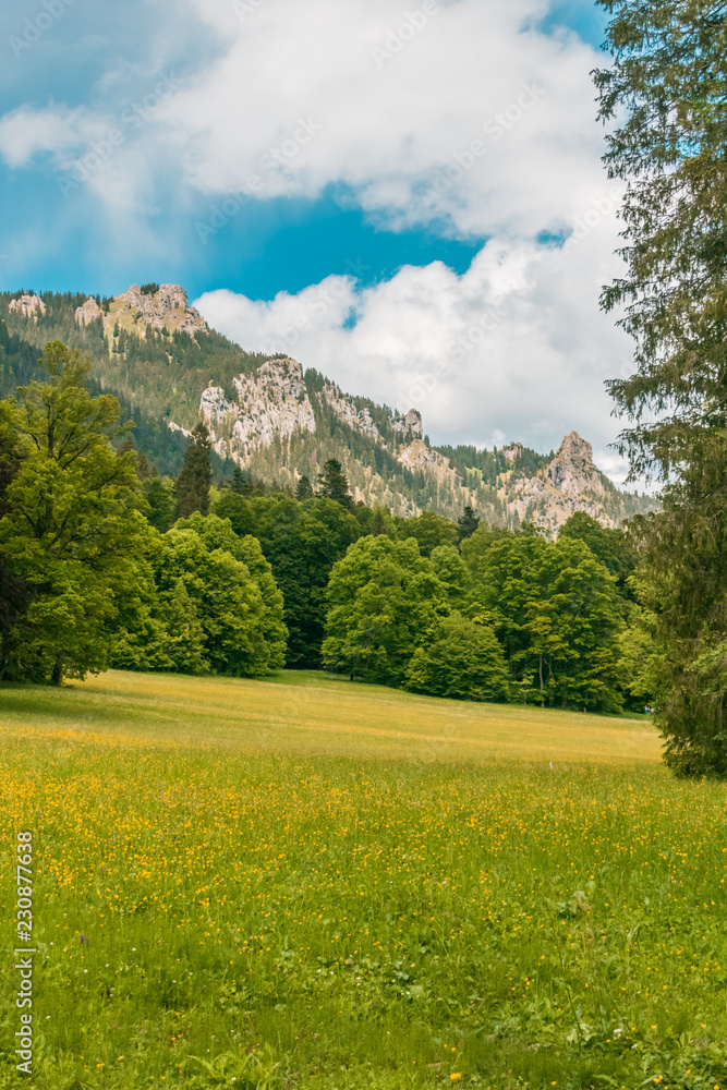 Fototapeta premium Beautiful view near castle Linderhof-Bavaria-Germany