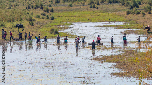 Gemeinsamer Fischfang mit Netzen am Fluss Cubango, Rundu, Okawango, Namibia, Angola