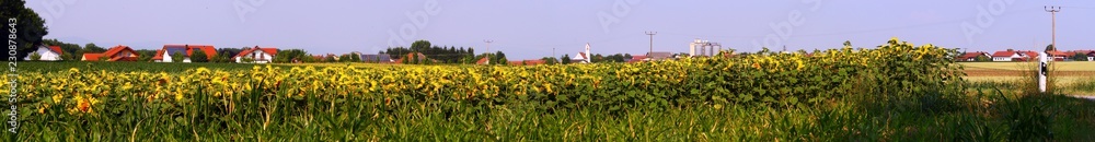 Beautiful view near Ettling-Bavaria-Germany