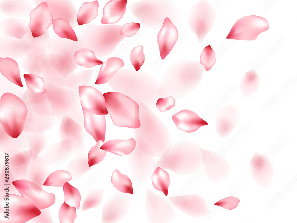Pink sakura flower flying petals isolated on white vector background. Pink sakura flower flying petals isolated on white vector background.