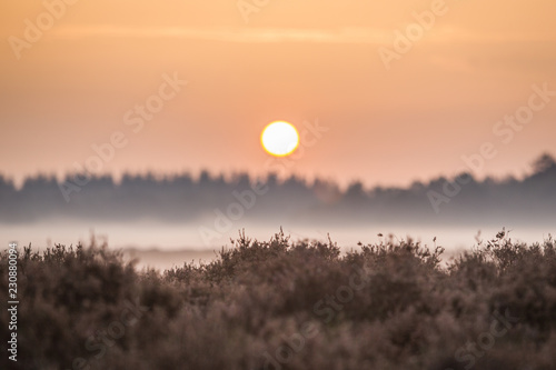 Sunset over the moorland
