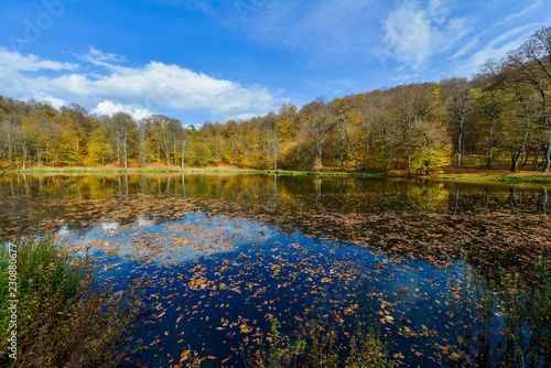 Fototapeta Naklejka Na Ścianę i Meble -  Colorful autumn landscape with lake. Armenia