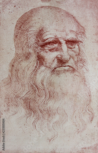 Φωτογραφία An illustration of Leonardo Da Vinci's portrait from a vintage book Leonard de V