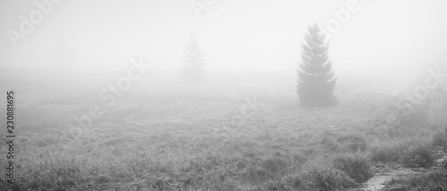 Landscape in Schwarzwassetal in german Ore mountains in foggy morning on 20th october 2018