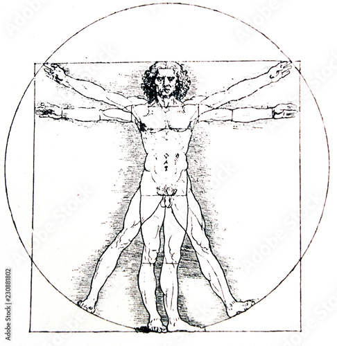 Canvas Print Vetruvian human, Measures of Human body by Leonardo da Vinci, illustrated in a v