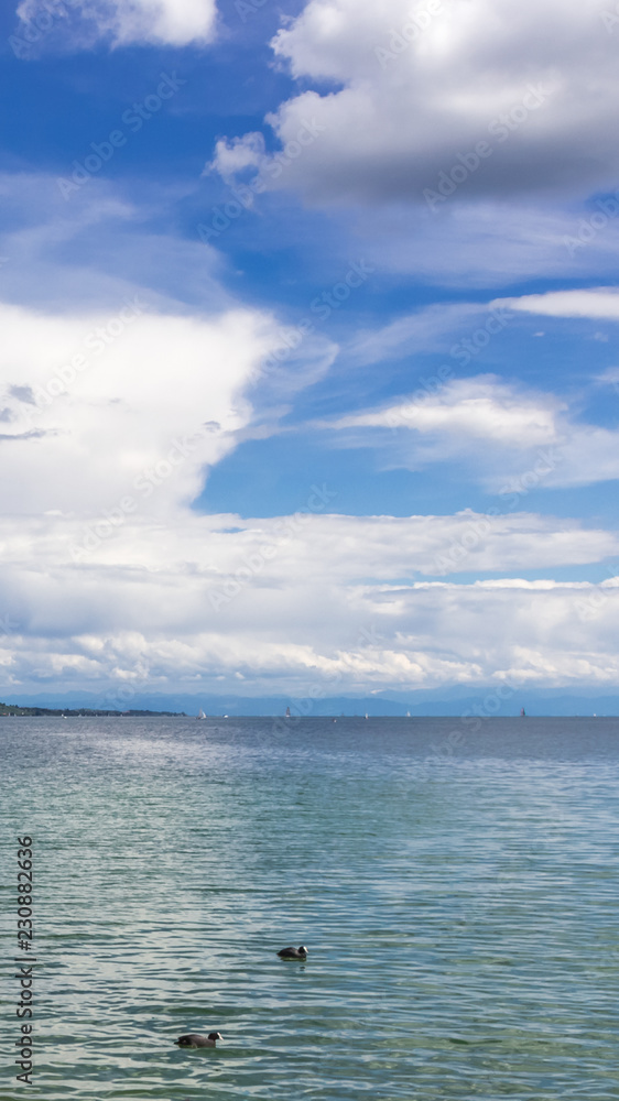 Smartphone HD wallpaper of beautiful view on the mainau island - Bodensee - Bavaria - Germany