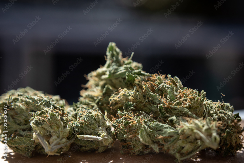 Homegrown Marijuana Buds. Close up Cannabis Flowers on Wood Table Background With Copy Space. Homegrown Marijuana Buds. Close up Cannabis Flowers on Wood Table Background With Copy Space.