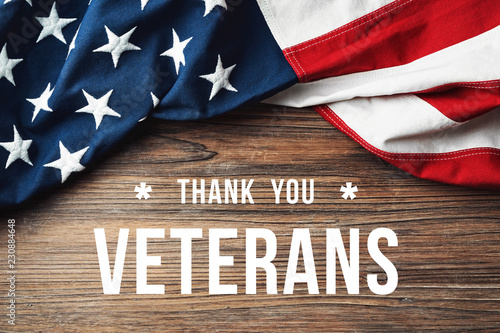 Thank You Veterans photo