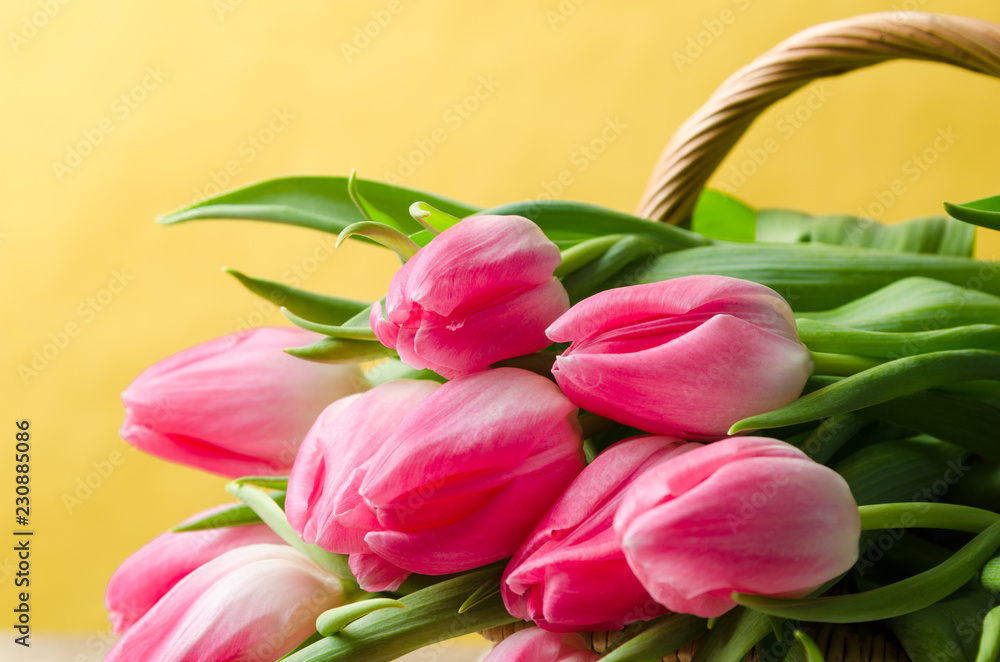 Beautiful bouquet of pink tulips in a wicker basket Beautiful bouquet of pink tulips in a wicker basket