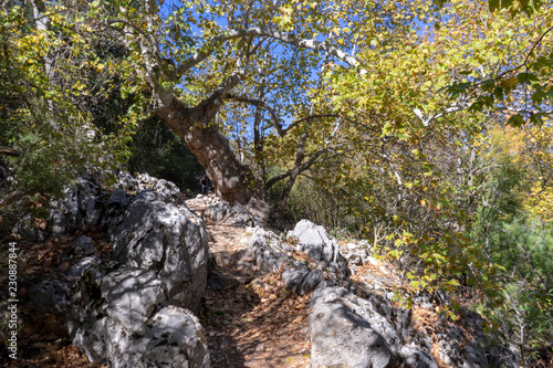 Kovada Lake National Park - Isparta photo