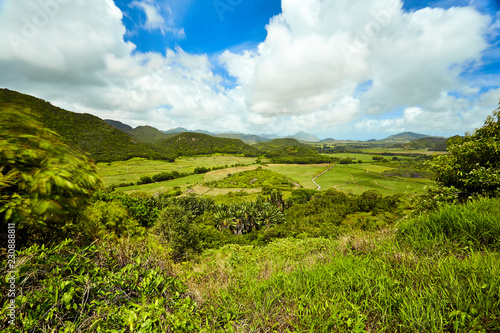 Sugar cane fields and mountains , Mauritius Island
