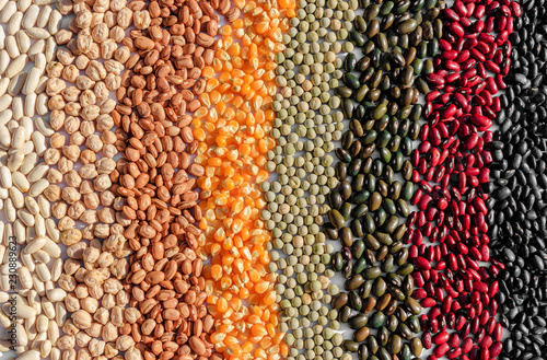 grain varieties in gradient