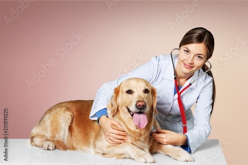 Fototapeta Naklejka Na Ścianę i Meble -  Beautiful young veterinarian with a dog on
