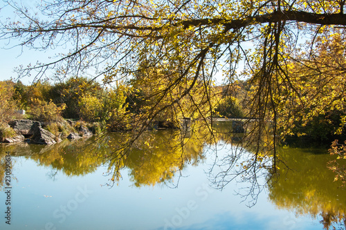 Pond in autumn, yellow leaves