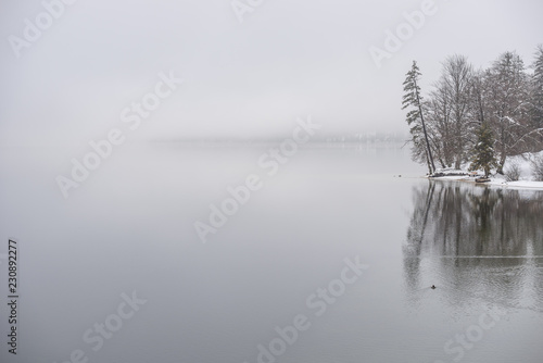 Winter lake covered in fog