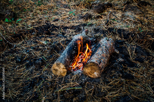 The fire burns out. Camping in the forest