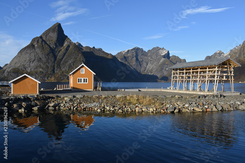 Yellow houses in Sakrisoy and Olstinden in the background, Lofoten, Norway