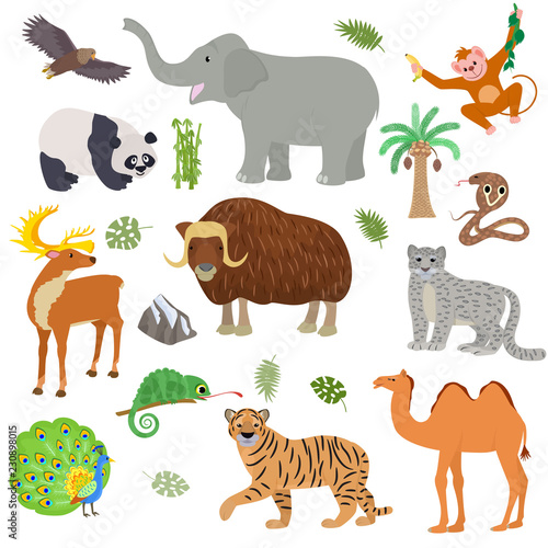 Asian animal vector animalistic wild character tiger camel panda in Asia wildlife illustration set of mammal buffalo elephant cobra isolated on white background