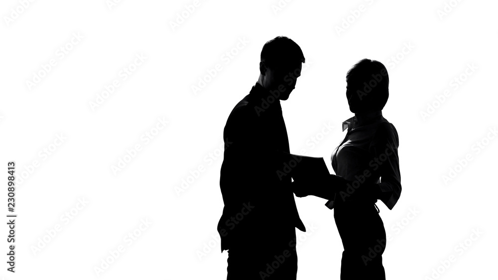 Silhouette of female director discussing business plan with manager in office