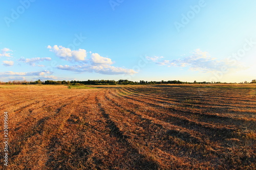 plowed field and blue sky