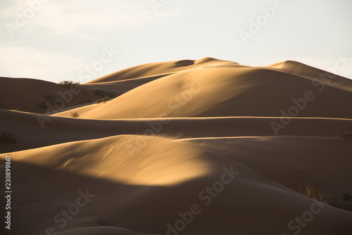 sand dunes in the desert