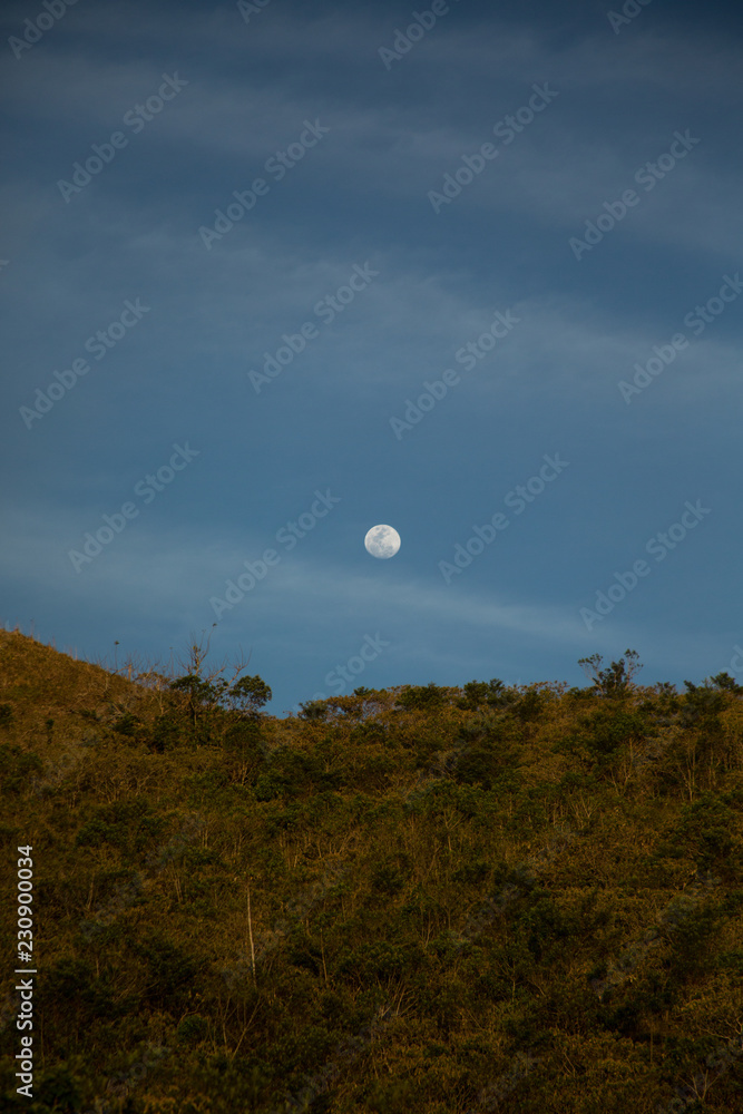 moon over field