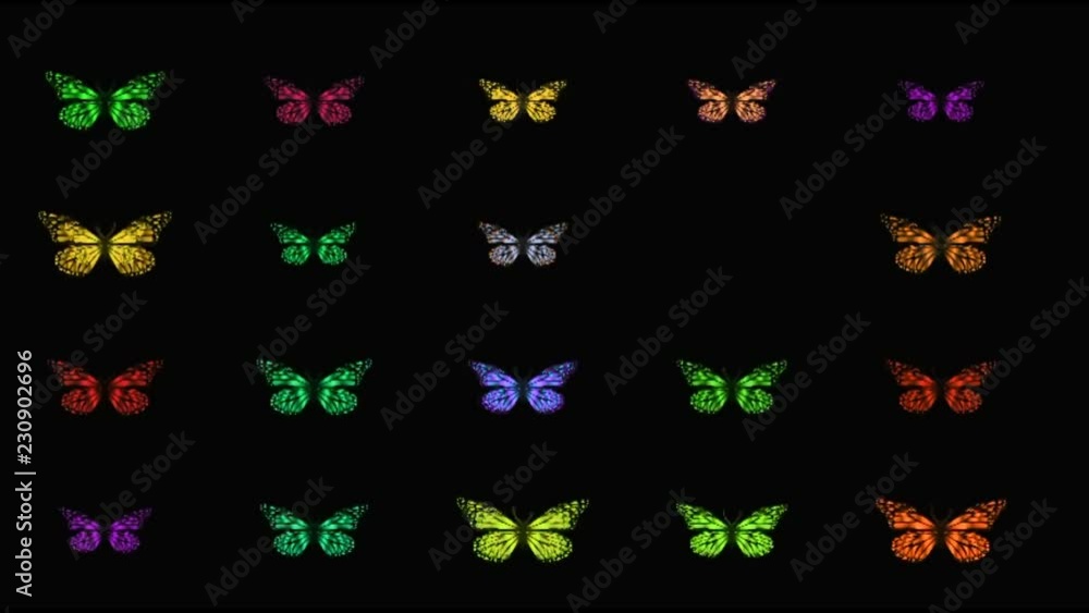 set of butterflies set of butterflies