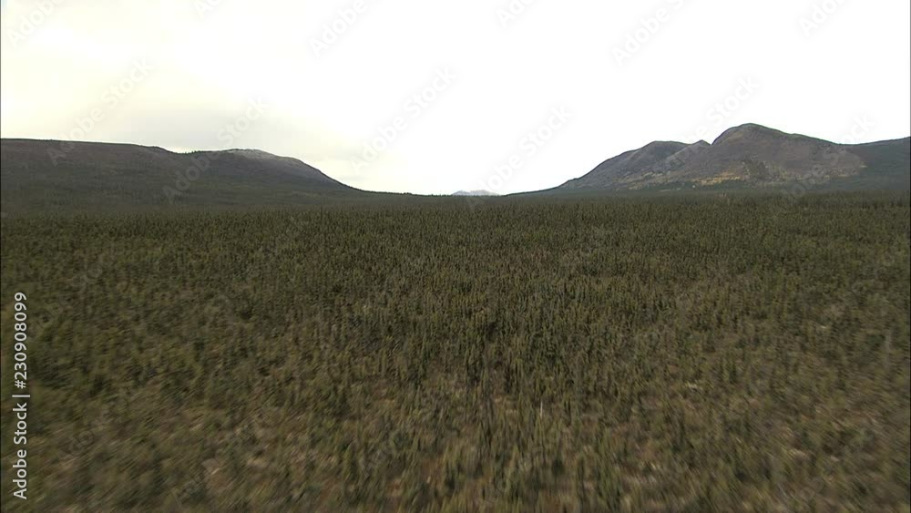 Aerial Alaska USA Landscape forest Wilderness