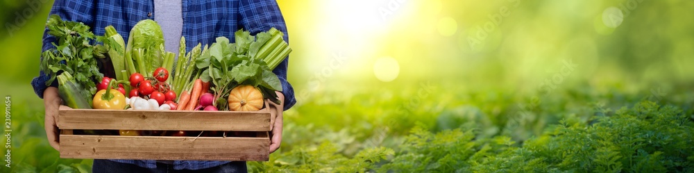 Fototapeta Ręki trzyma drewnianego pudełko z warzywami