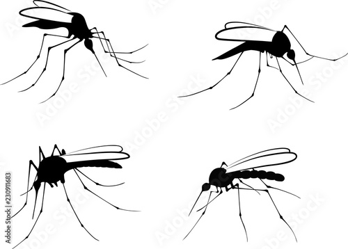 Silhouettes mosquito - vector illustration