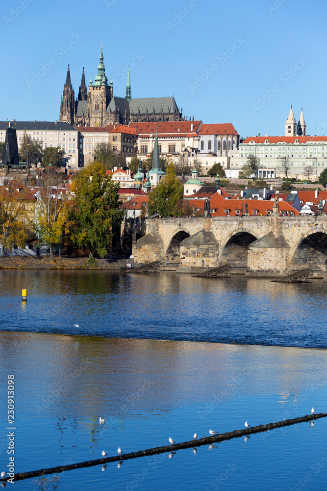 Obraz premium Colorful autumn Prague gothic Castle and Charles Bridge with the Lesser Town in the sunny Day, Czech Republic