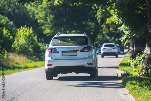 car moves on the road in oak alley