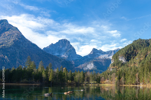 Schiederweiher Polsterlucken Rundweg mit totem Gebirge und Enten im See