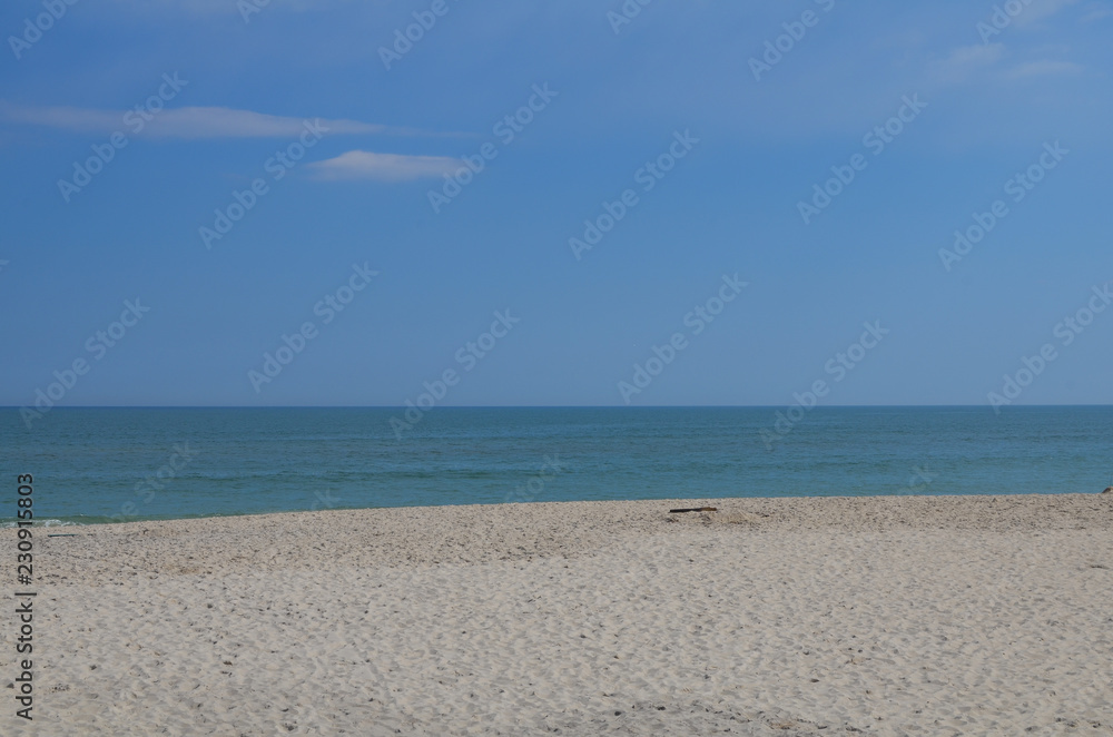 Beach at Assateague Island National Seashore in Maryland on a sunny spring day. Useful for backgrounds, negative space Beach at Assateague Island National Seashore in Maryland on a sunny spring day. Useful for backgrounds, negative space